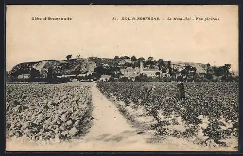 AK Dol-de-Bretagne, Le Mont-Dol, Vue générale