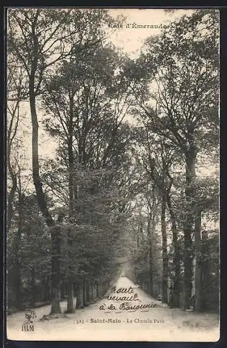 AK Saint-Malo, Le Chemin Pavé sous les arbres majestueux