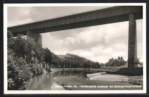 AK Wilkau-Hasslau, Muldenpartie unterhalb der Reichsautobahnbrücke