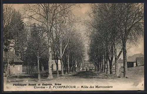 AK Pompadour, Allée des Marronniers