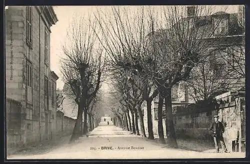 AK Brive, Avenue Bourzat bordée d`arbres en hiver