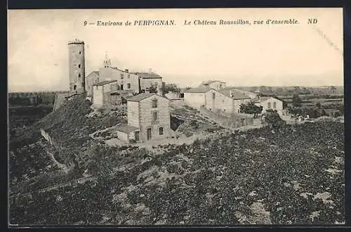 AK Perpignan, Le Château Roussillon, vue d`ensemble