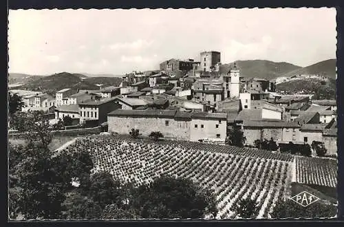 AK Montalba-le-Château, Vue générale du village et des vignobles environnants