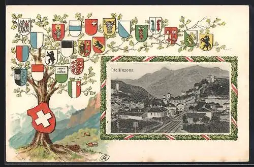 Passepartout-Lithographie Bellinzona, Teilansicht aus der Vogelschau, Eiche mit Wappen der Kantone