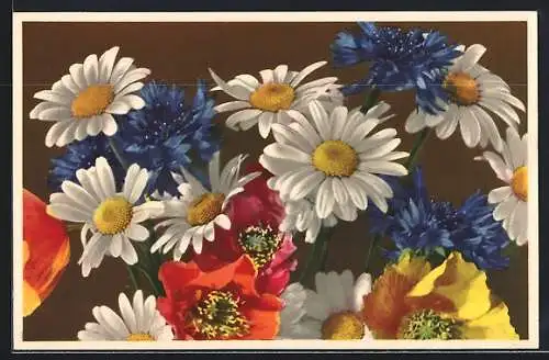 Künstler-AK Photochromie Nr.1984: Margeriten, Mohnblumen und Kornblumen