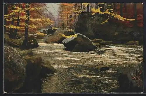 Künstler-AK Photochromie Nr.3999: Partie am Fluss