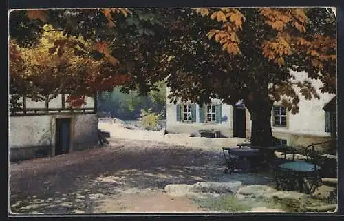 Künstler-AK Photochromie Nr.4179: Ortspartie an einem Gasthof