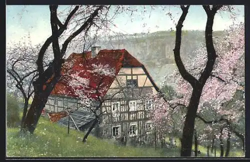 AK Photochromie NR. 1122: Bauernhaus im Frühling