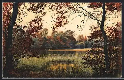 Künstler-AK Photochromie Nr.4181: Waldsee umgeben von Bäumen und Sträuchern