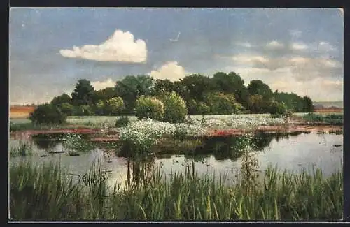 Künstler-AK Photochromie Nr.4127: Wunder der Natur an einem See