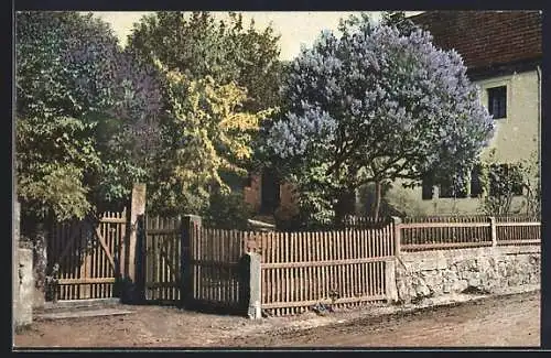 AK Photochromie NR. 1271: Garten mit blühenden Bäumen, Ortspartie im Frühling