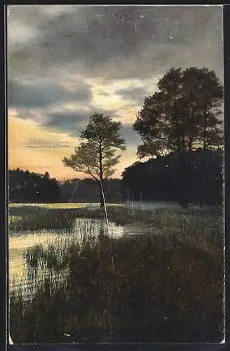 Künstler-AK Photochromie: Landschaftsbild am See