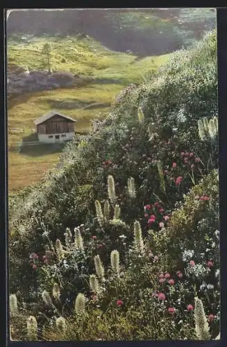 Künstler-AK Photochromie Nr. 523: Strauss-Glockenblume, Campanula thyrsoidea