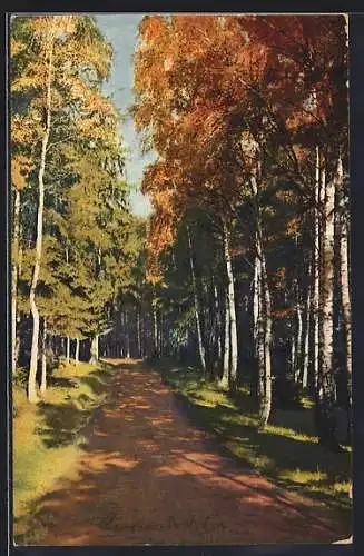 Künstler-AK Photochromie Nr. 4034: Waldallee in Herbstfarben