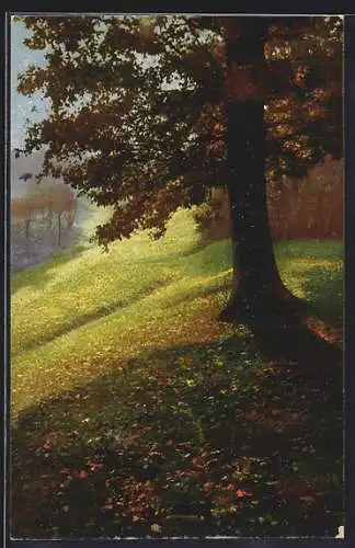 Künstler-AK Photochromie Nr.4033: Ansicht im Herbst wenn das Laub fällt