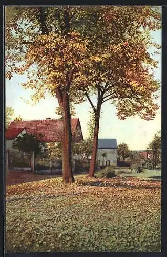 Künstler-AK Photochromie Nr. 4942: Ortsansicht mit hübschen Häusern zur Herbstzeit