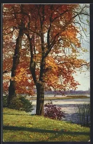 Künstler-AK Photochromie Nr.4010: Herbstliche Ansicht am See