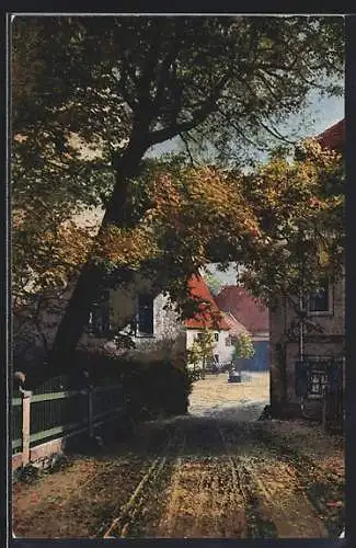 Künstler-AK Photochromie Nr.4173: Weg zur Dorfmitte