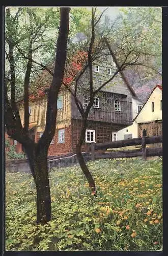 AK Photochromie NR 1184: Haus an einer Wiese