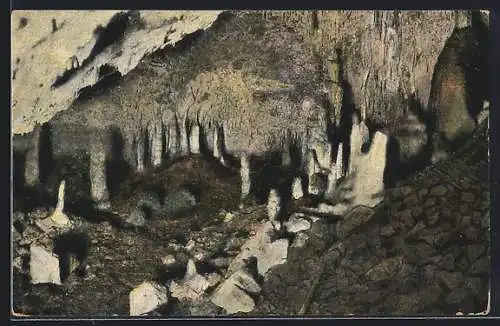 AK Rübeland i. Harz, Der Wald in der Hermannshöhle