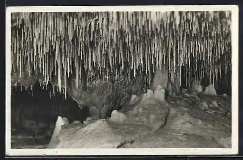 AK Krapnikovè jeskyne Bouzovsko-Konickè, Höhle