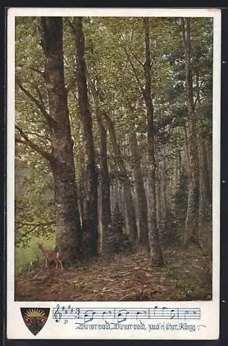 AK Deutscher Schulverein Nr. 889: Wienerwald, Wienerwald...!, Rehgruppe im Wald