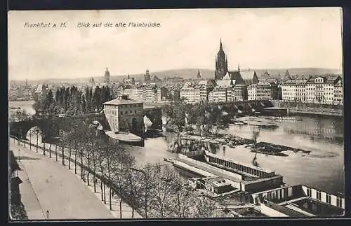 AK Frankfurt a. M., Alte Mainbrücke mit Dom