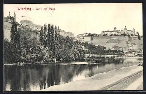 AK Würzburg, Mainpartie mit Veste