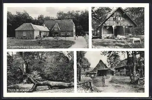 AK Zetel, Jugendherberge Zetel, Jagdhütte im Urwald, Rauchkate, Partie im Urwald