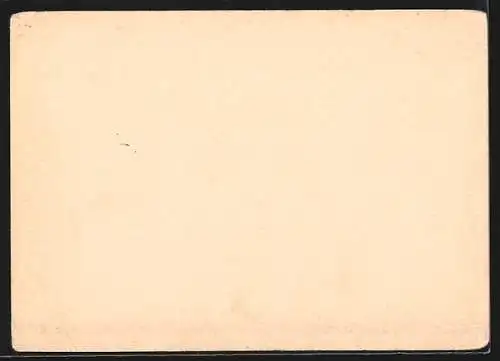 AK Potsdam, Garnisonkirche, Feier anlässlich der Eröffnung des Reichstags 21.03.1933, Ganzsache 6 Pfennig
