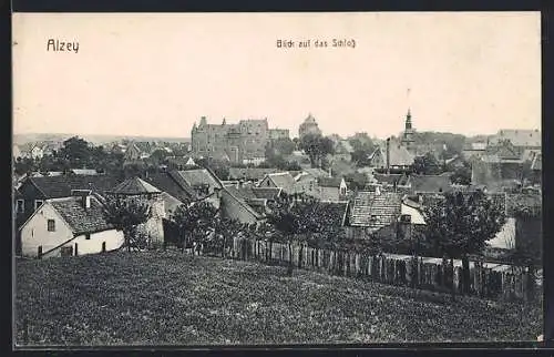 AK Alzey, Blick auf das Schloss