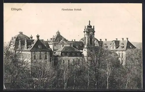 AK Ellingen / Mittelfranken, Fürstliches Schloss