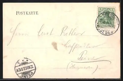 AK Dresden, Belvedère mit Strassenpartie