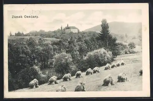 AK Osecany, Zámek