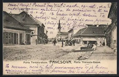 AK Pancsova, Maria Theresia-Gasse