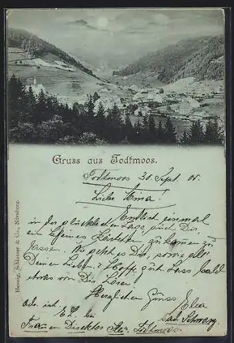 Mondschein-AK Todtmoos, Totalansicht vom Berg aus