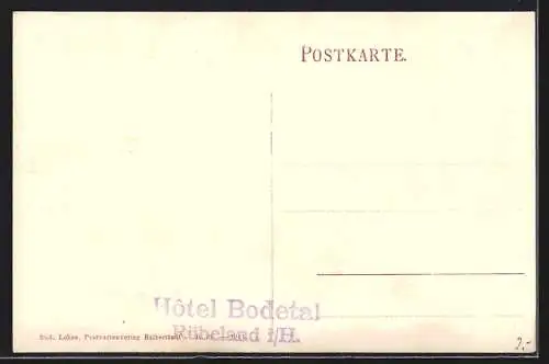 AK Rübeland i. Harz, Teilansicht mit Hotel Bodetal