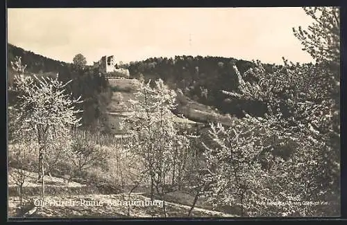 AK Oberkirch / Baden, Ruine Schauenburg