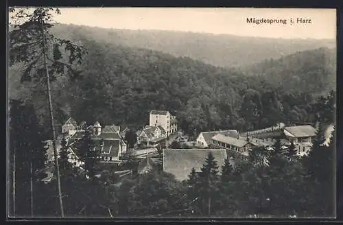 AK Mägdesprung, Ortsansicht im Wald