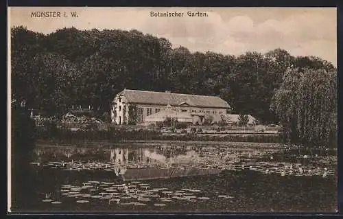 AK Münster i. W., Teich im Botanischen Garten