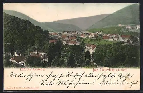 AK Bad Lauterberg am Harz, Blick vom Eichenkopf