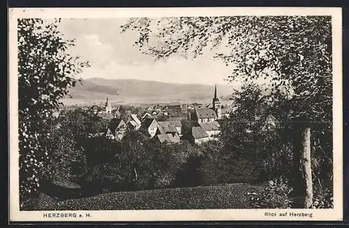 AK Herzberg a. H., Ortsansicht vom Berg aus