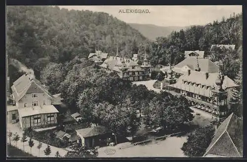 AK Alexisbad, Ortsansicht