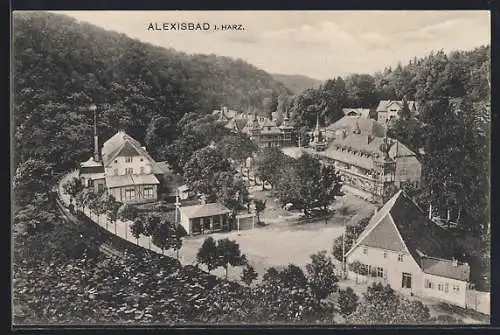 AK Alexisbad i.Harz, Ortsansicht mit Bahngleisen