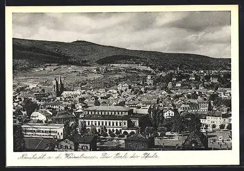 AK Neustadt a. d. Weinstrasse, Ortsansicht gegen den Bergkamm