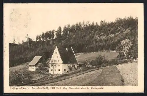 AK Freudenstadt, Bärenschlösschen im Christophstal