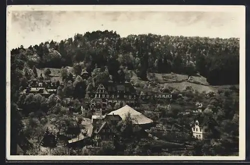 AK Bad Liebenzell /württbg. Schwarzwald, Teilansicht aus der Vogelschau