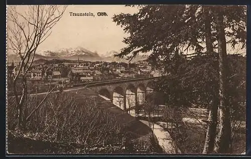 AK Traunstein /Obb., Ortsansicht mit Brücke und Bahngleisen