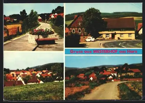 AK Westerhof am Harz, Strasse zum Ort, Platz und Ansicht von der Wiese aus