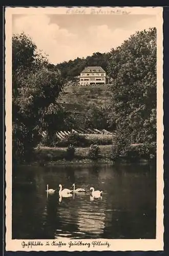 AK Dresden-Pillnitz, Gasthaus und Cafe Hausberg